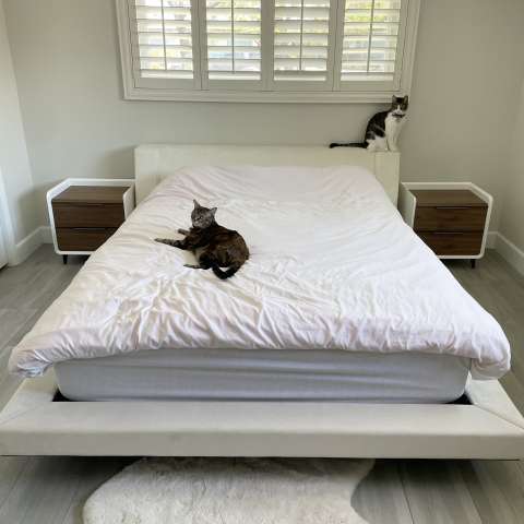 Image by Rui Song Image by Rui Song