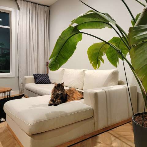 Image by Lena Image by Lena