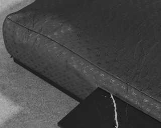 Florian Outdoor Cover