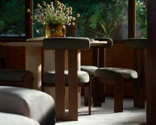 Tola Dining chair & Maximus Chair