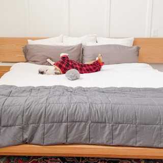 Image by Nacho the Bull Dog 