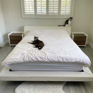 Image by Rui Song Image by Rui Song