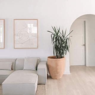 Image by yana.sushchik