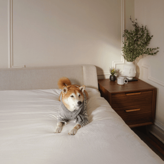 Image by mensweardog Image by mensweardog